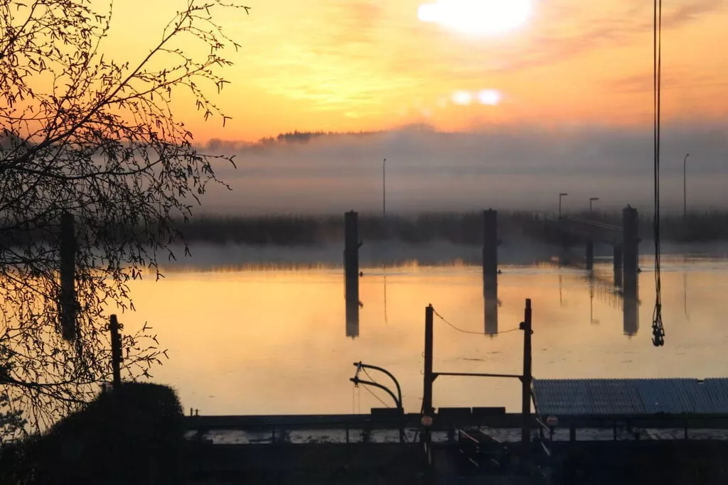 231467-View winter