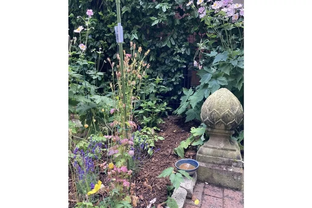 324827-Gardens summer