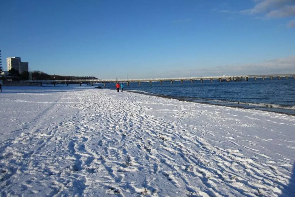 50757-Area winter 5km