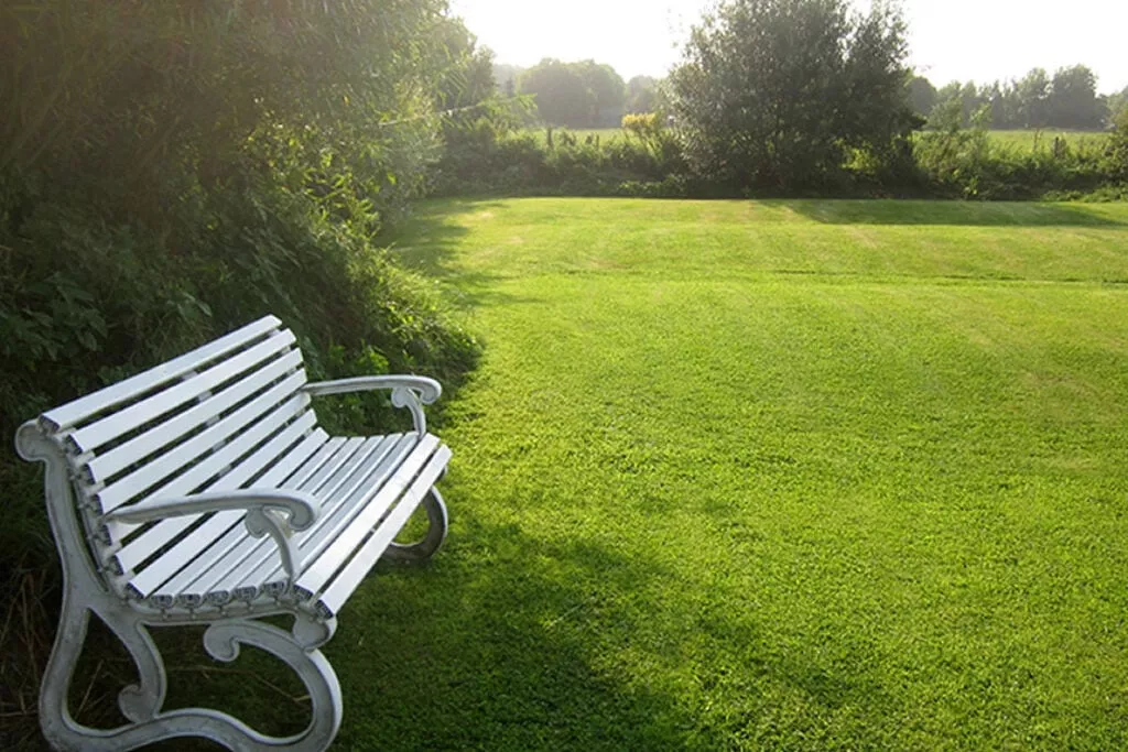 127743-Gardens summer