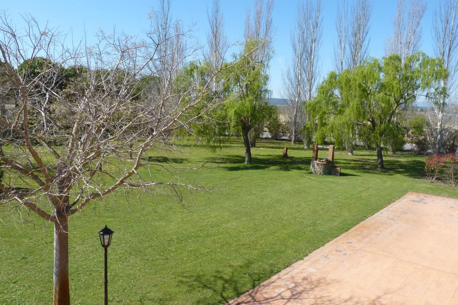 Mas Delfi-View summer
