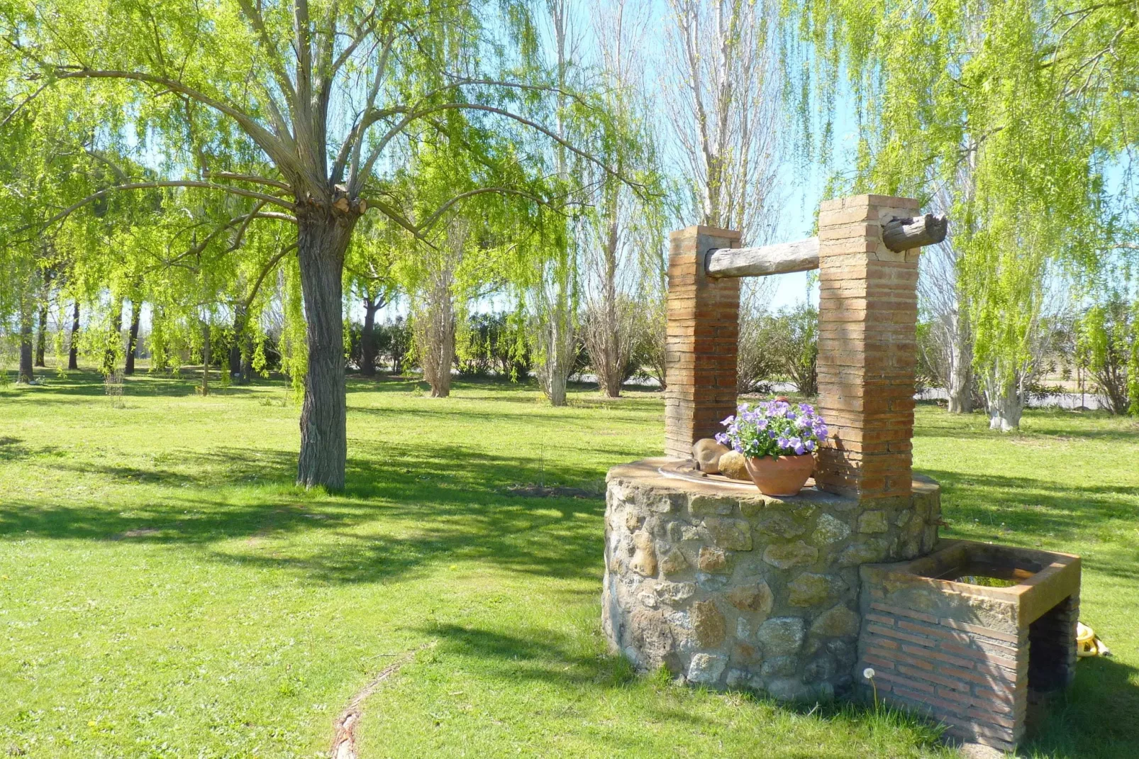Mas Delfi-Gardens summer