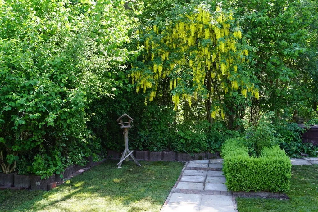 232435-Gardens summer