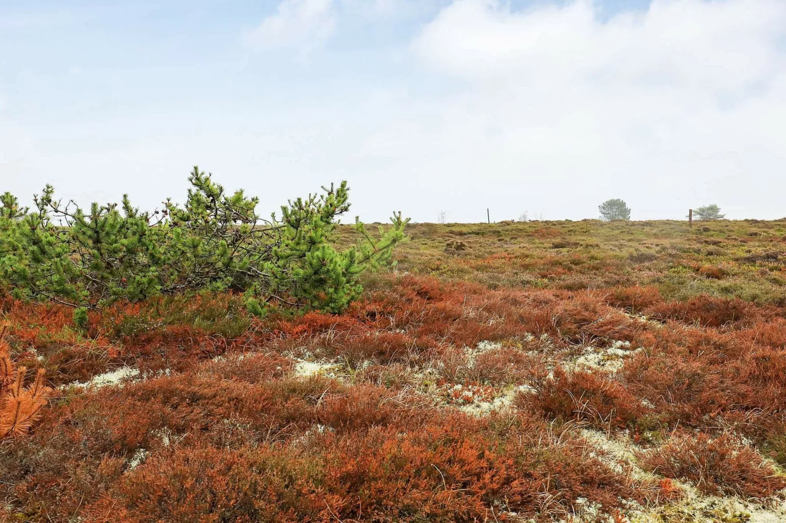 6 person holiday home in Læsø-View