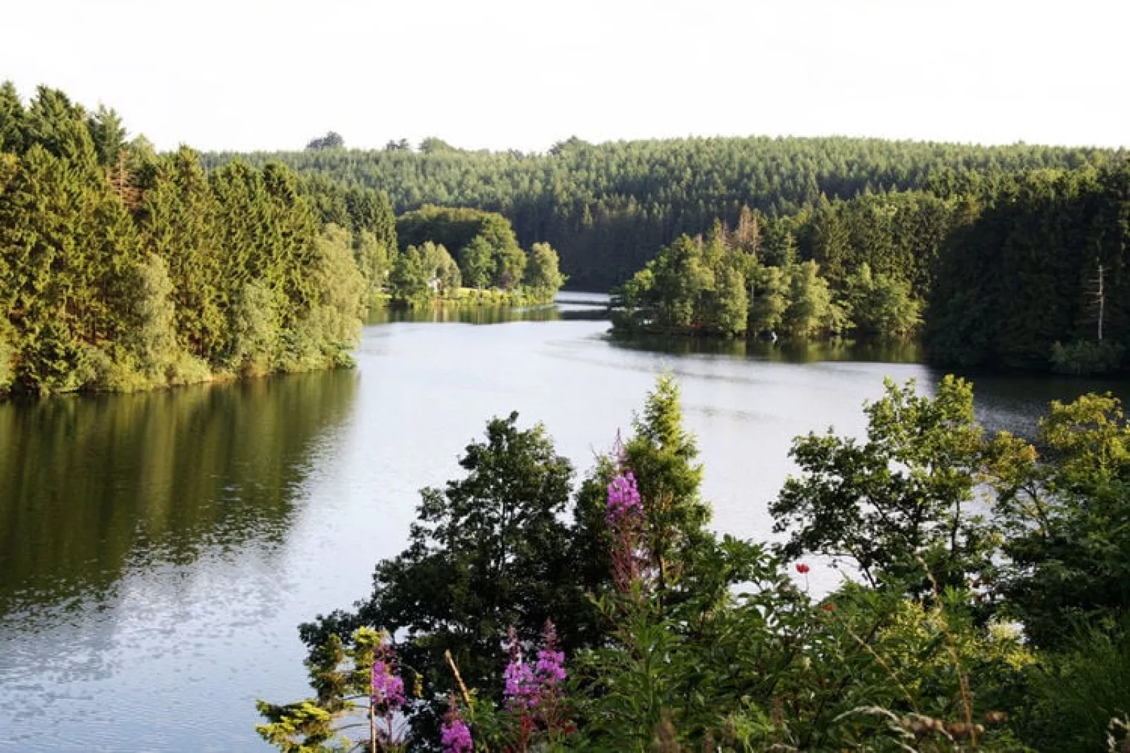 Le Chalet des Robinsons-Areas summer 5km