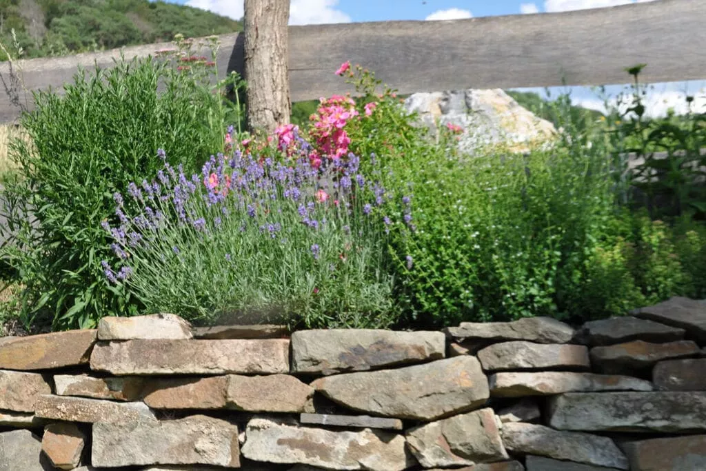 462783-Gardens summer