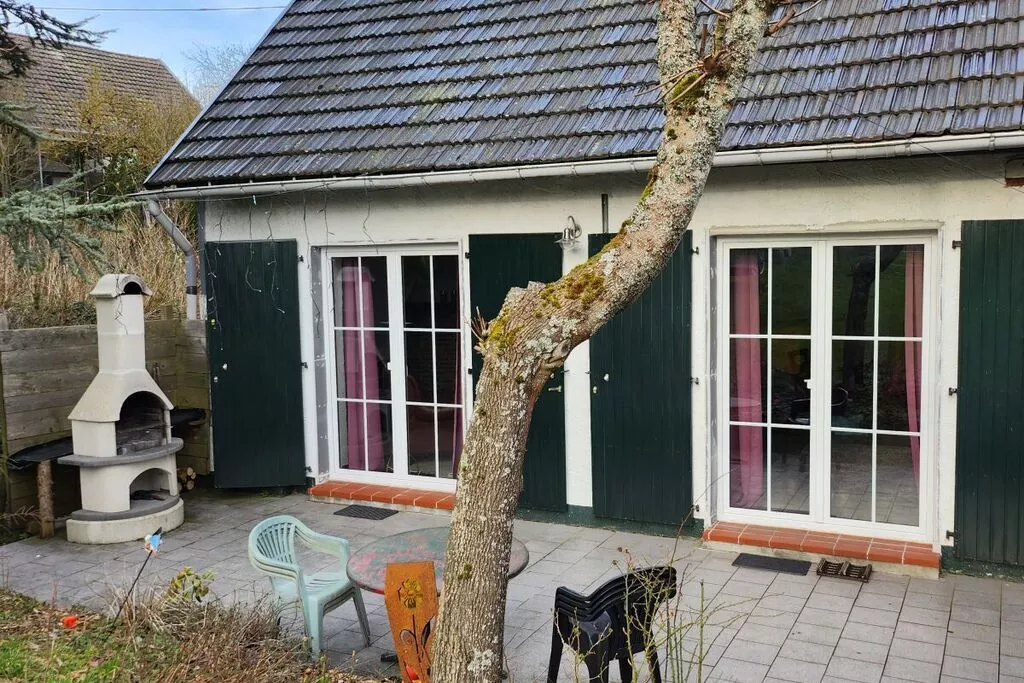 59312-Jardin d'été