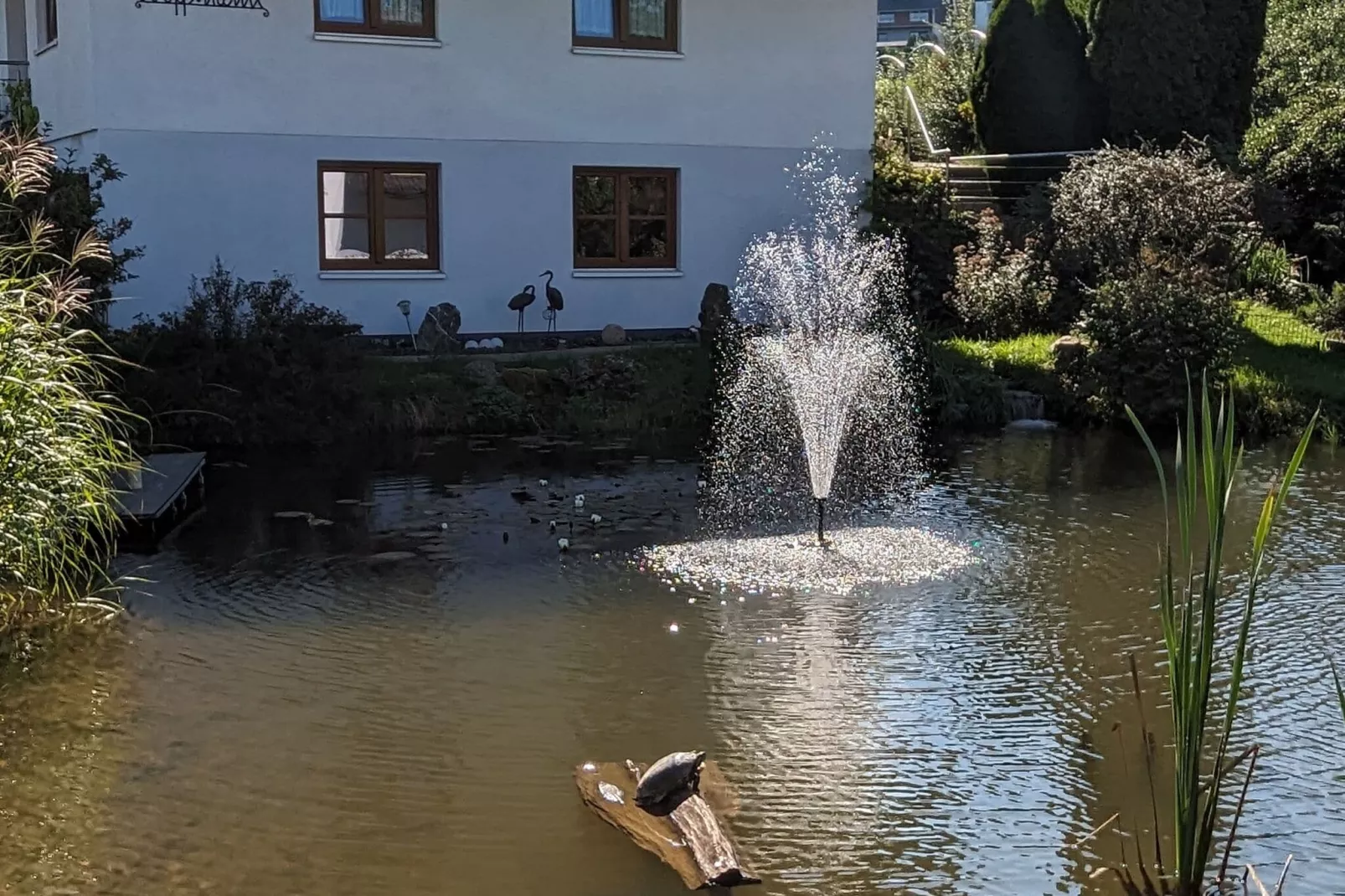 Am Teich-Gardens summer