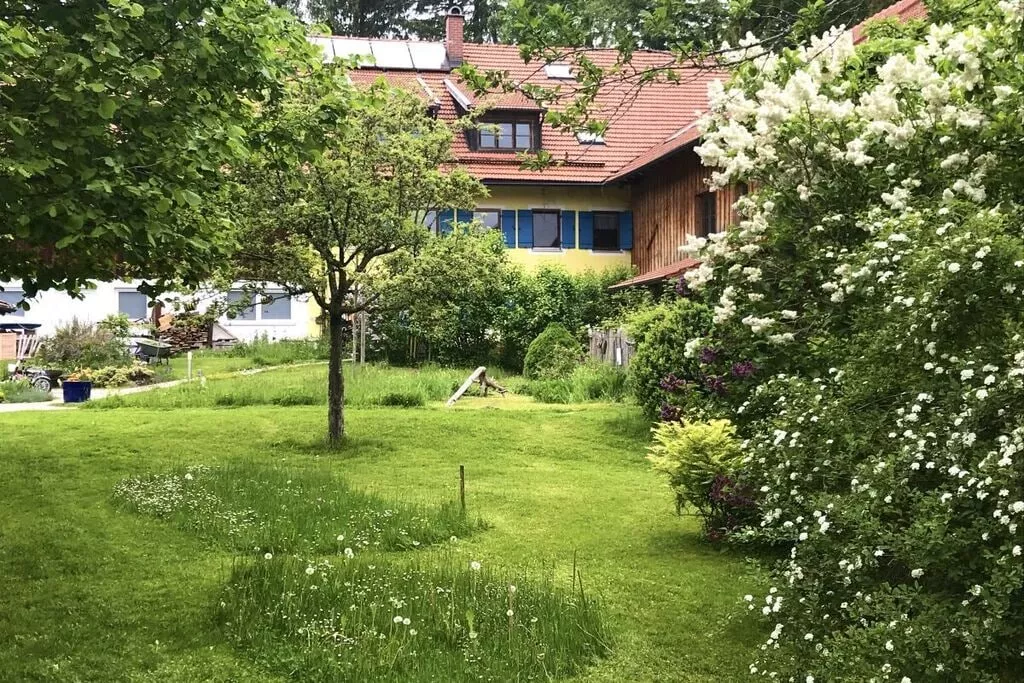 exteriorsummer