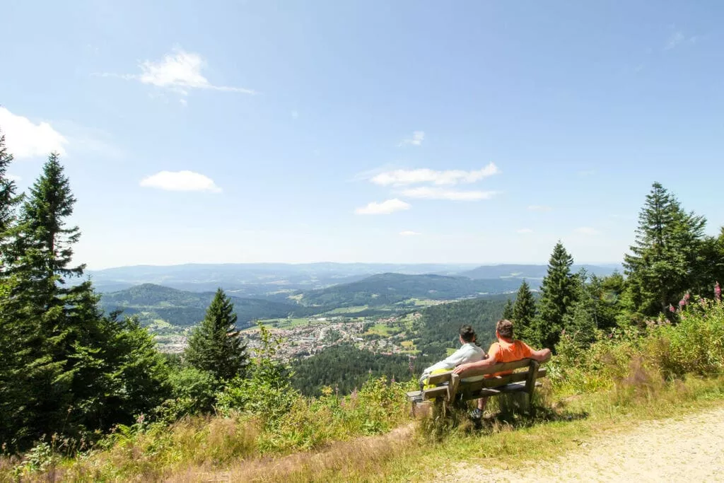 384667-Gebiete Sommer 5 km
