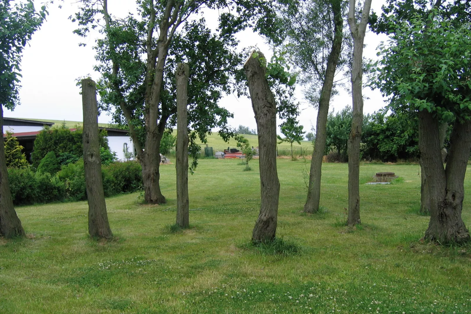 XL Meerblick und Leuchtturm-Gardens summer