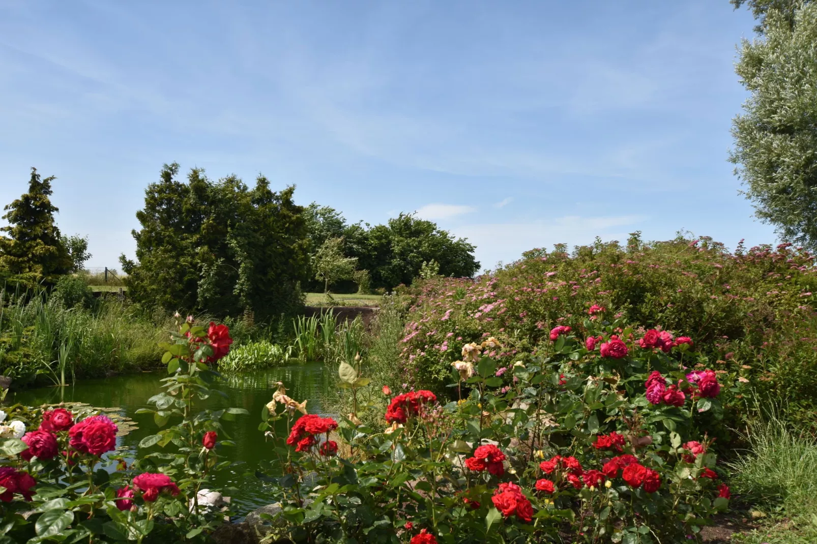 XL Meerblick und Leuchtturm-Gardens summer