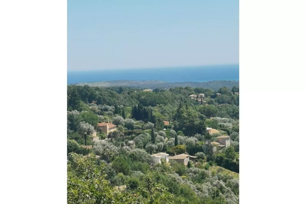 231609-Areas summer 5km