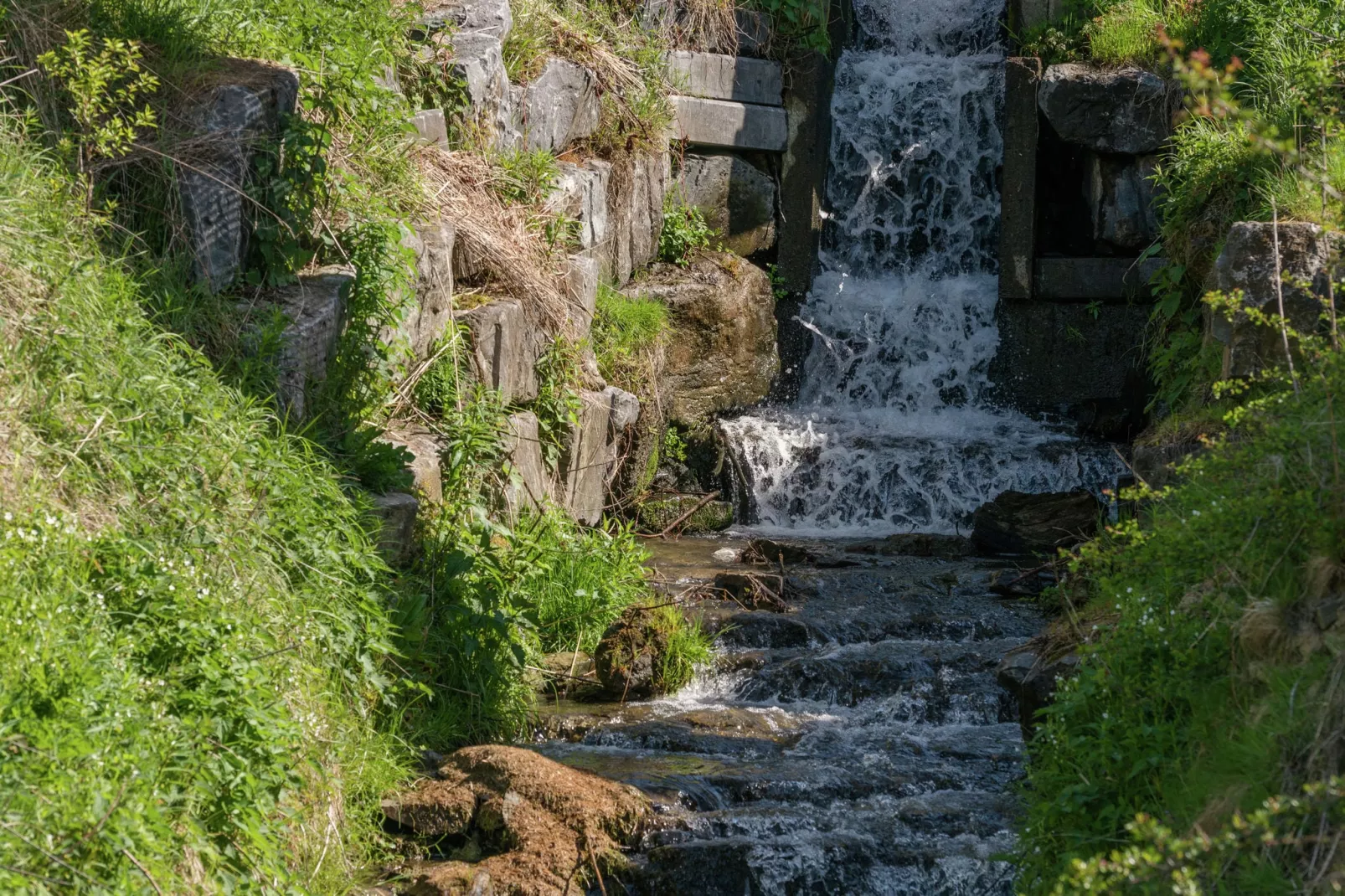 Au Moulin du Fî-Atmosphere