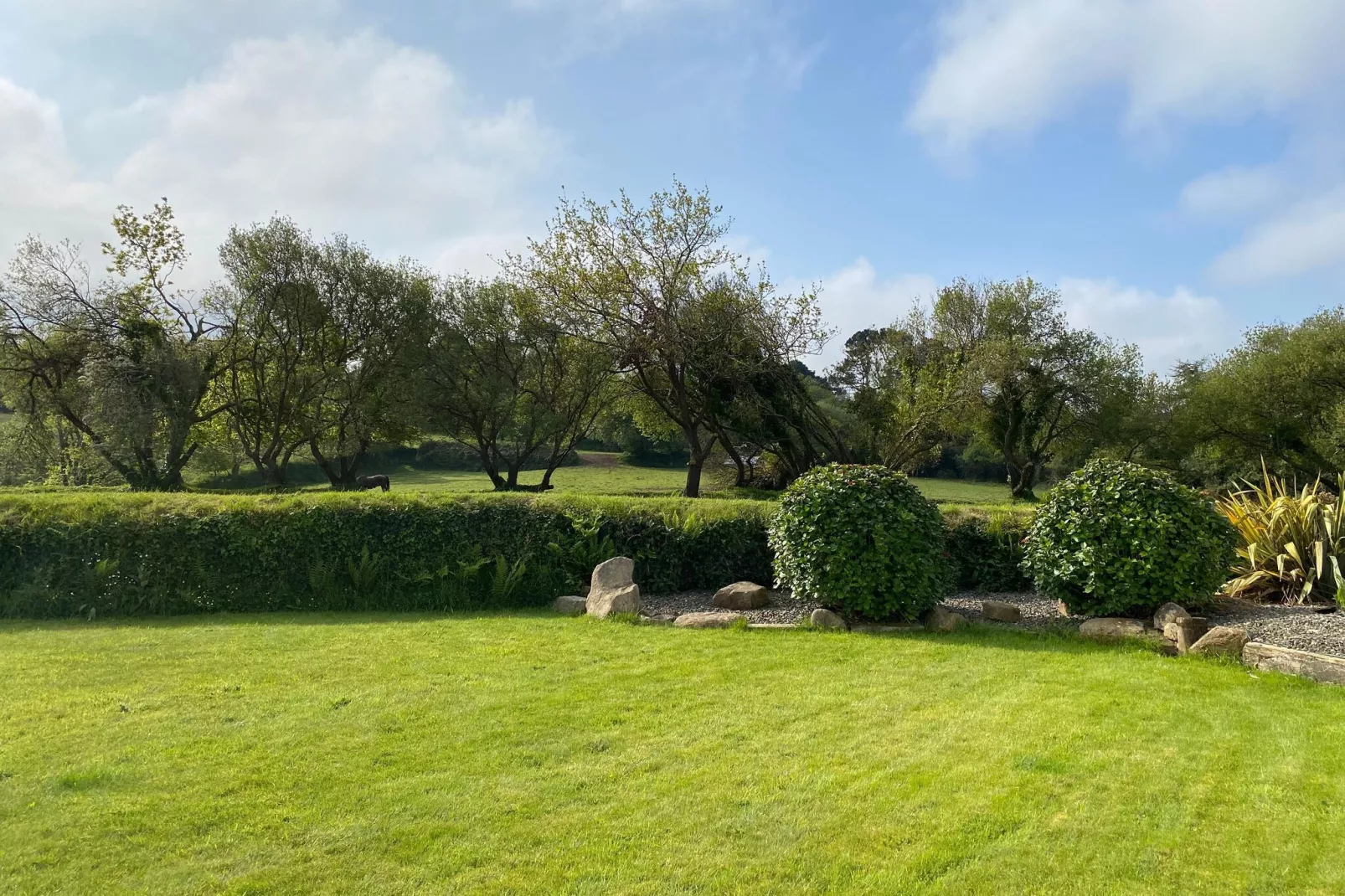 Holiday home, Perros-Guirec-4 pers., n°17-Gardens summer