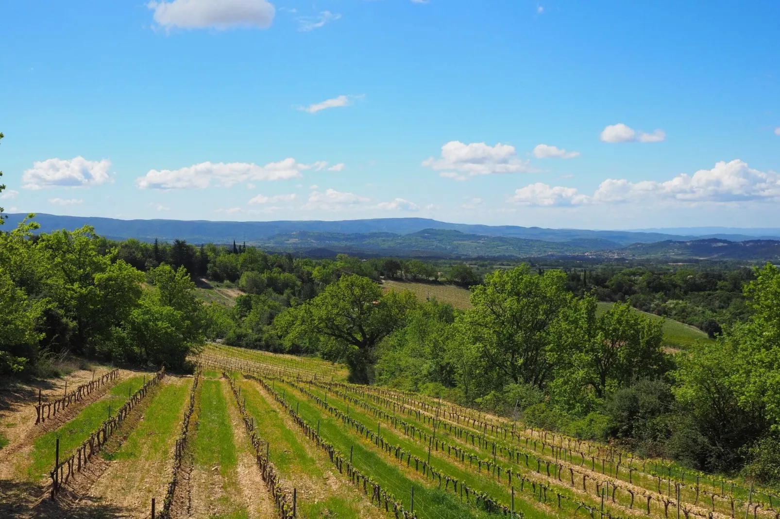 Doppelhaushälfte in Bédoin-Aussicht Sommer