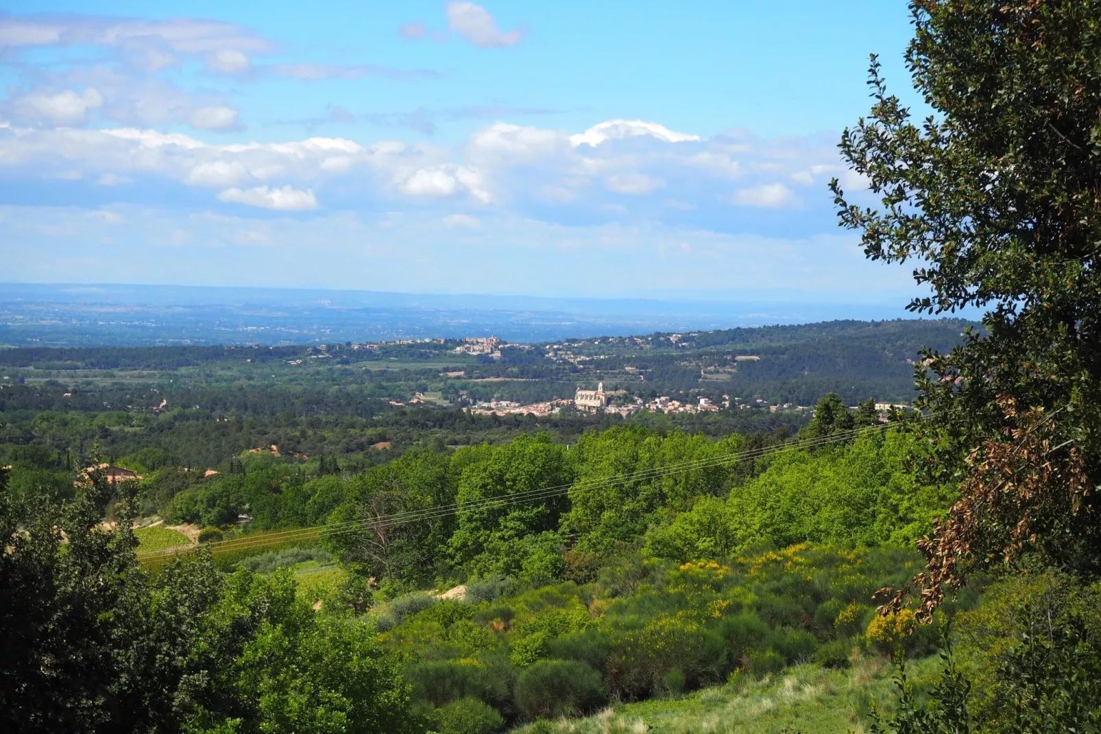 Doppelhaushälfte in Bédoin-Aussicht Sommer