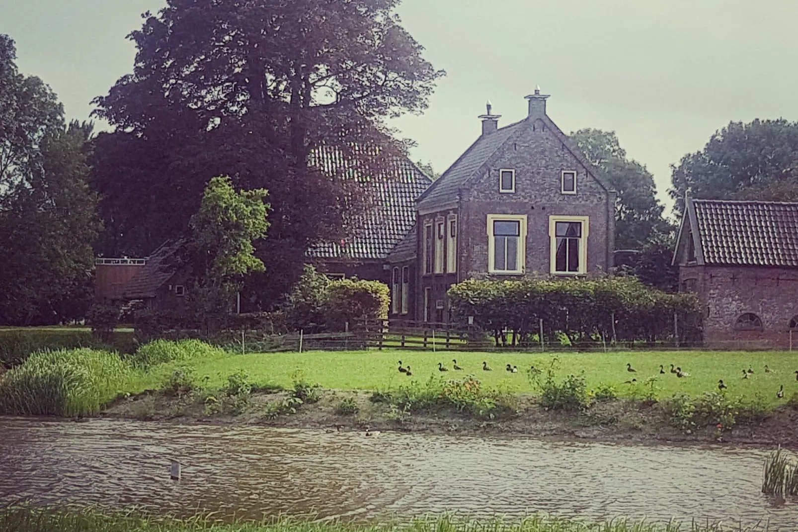 Pronkkeamer Skrins-Exterior summer