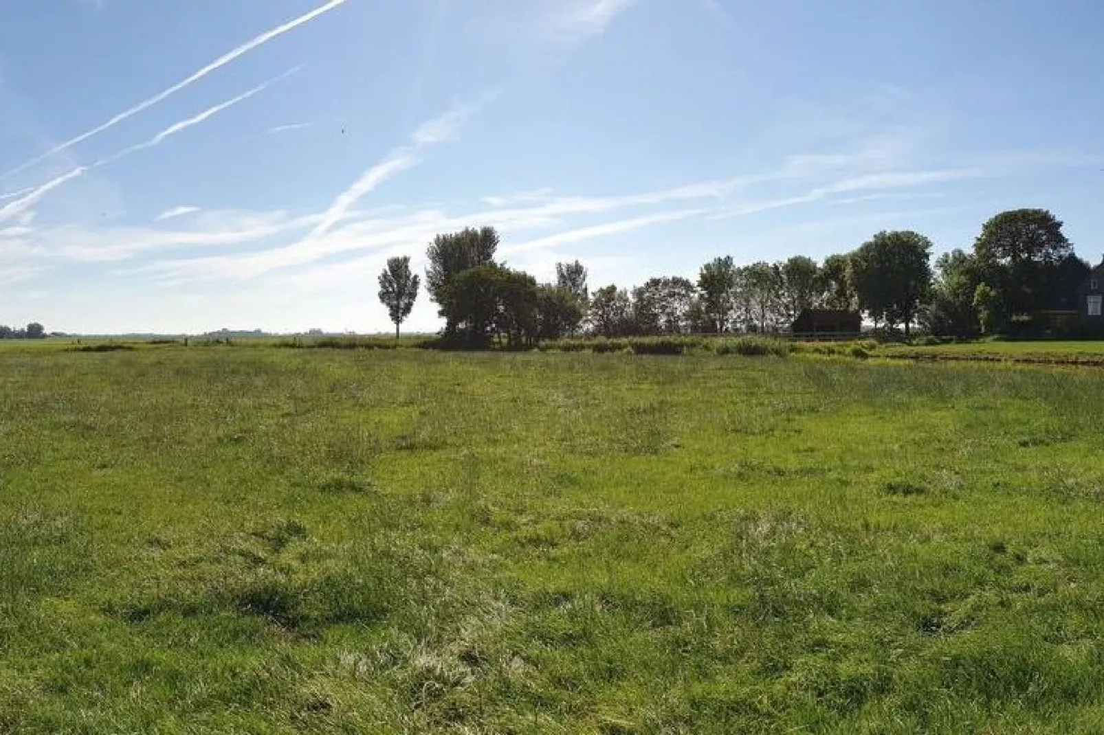 Pronkkeamer Skrins-Areas summer 1km