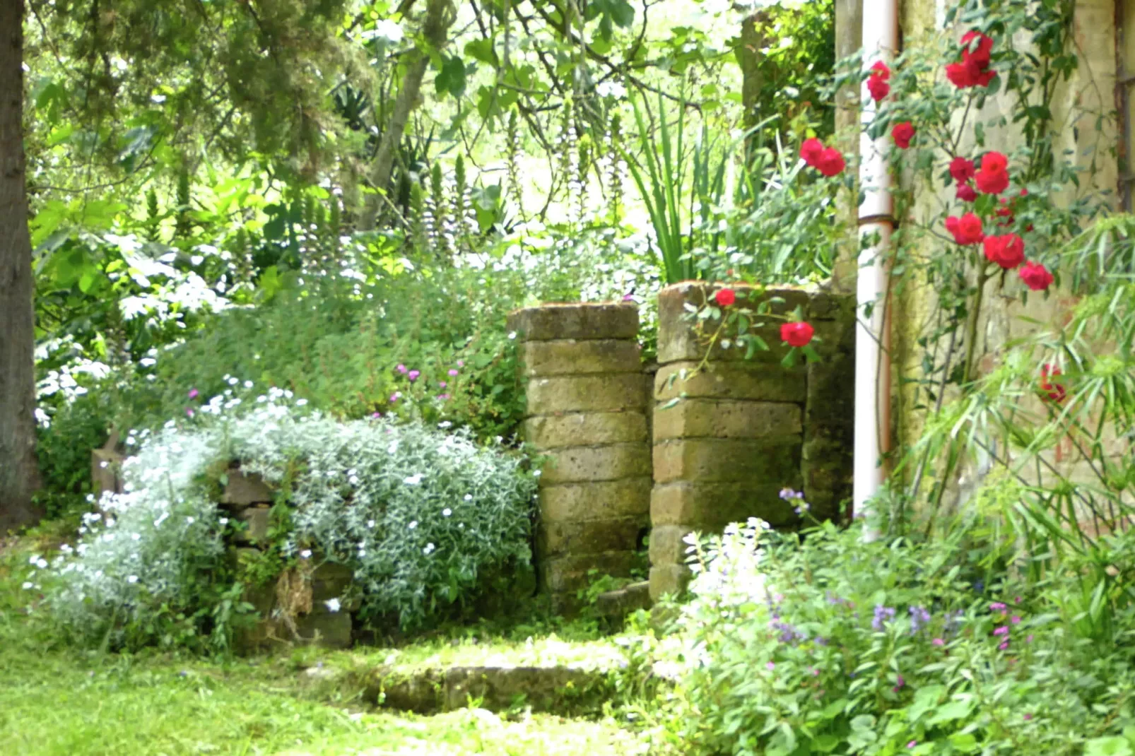 Allodola-Gardens summer