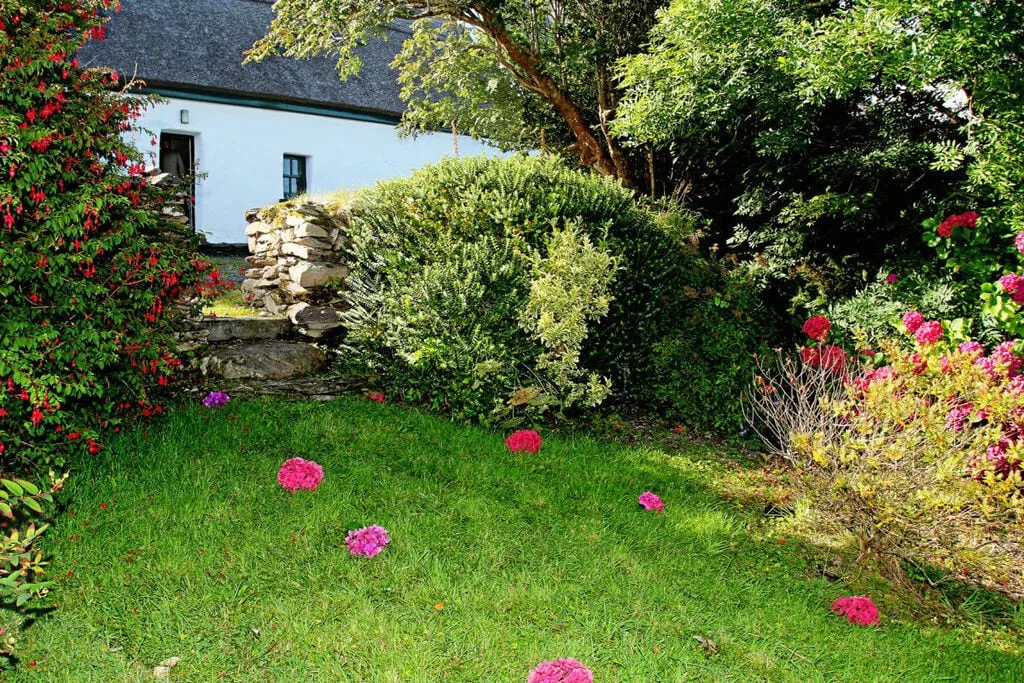 209165-Gardens summer