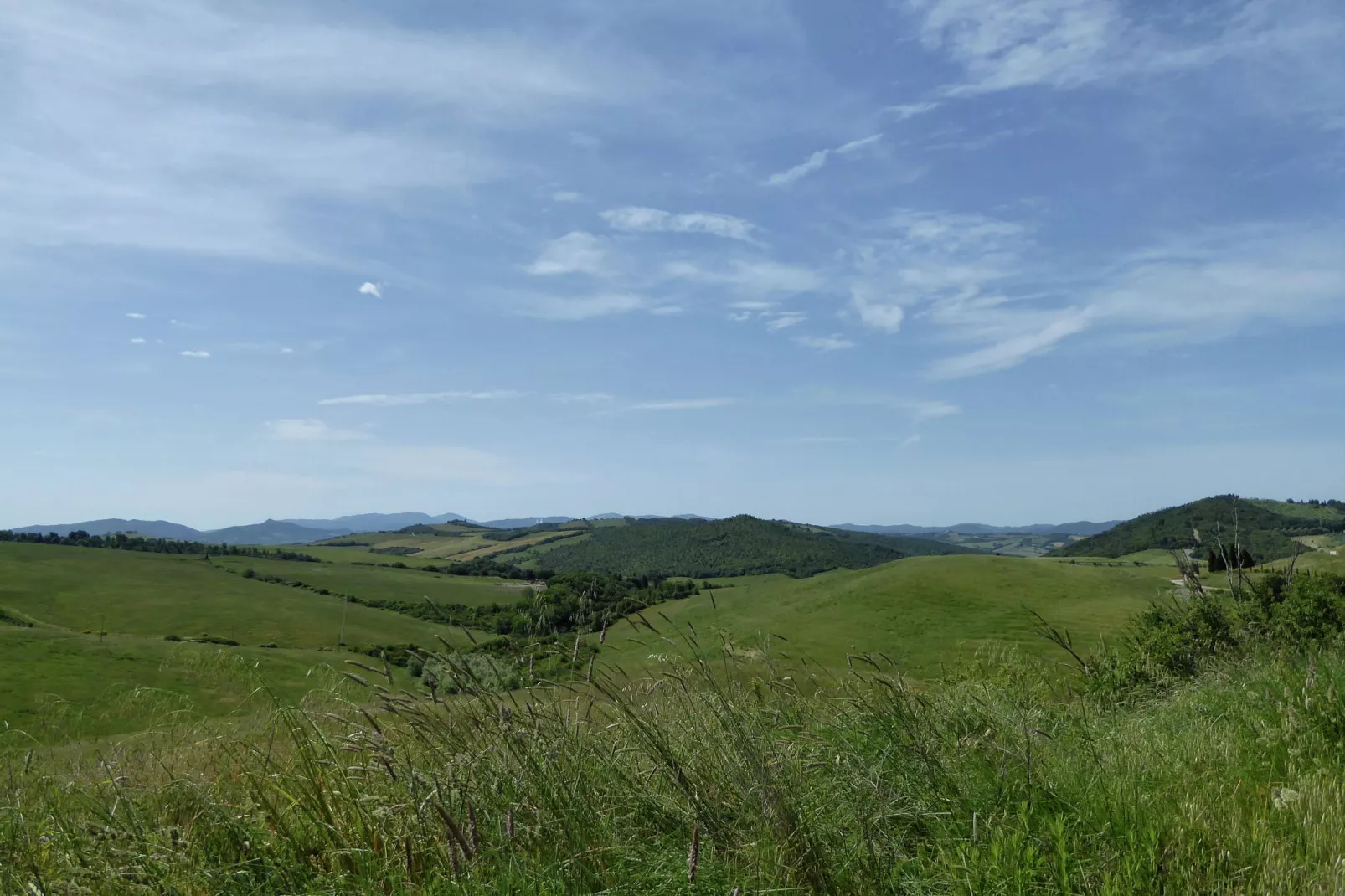 Allodola-View summer