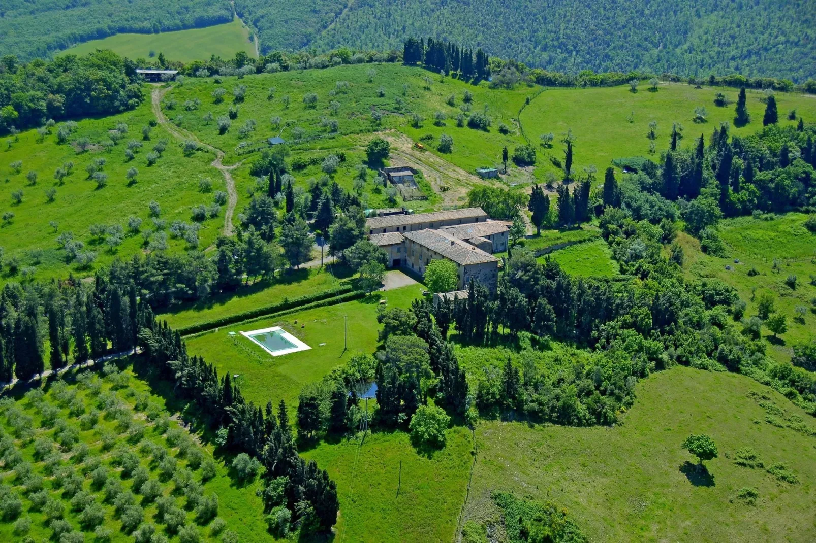 Allodola-View summer