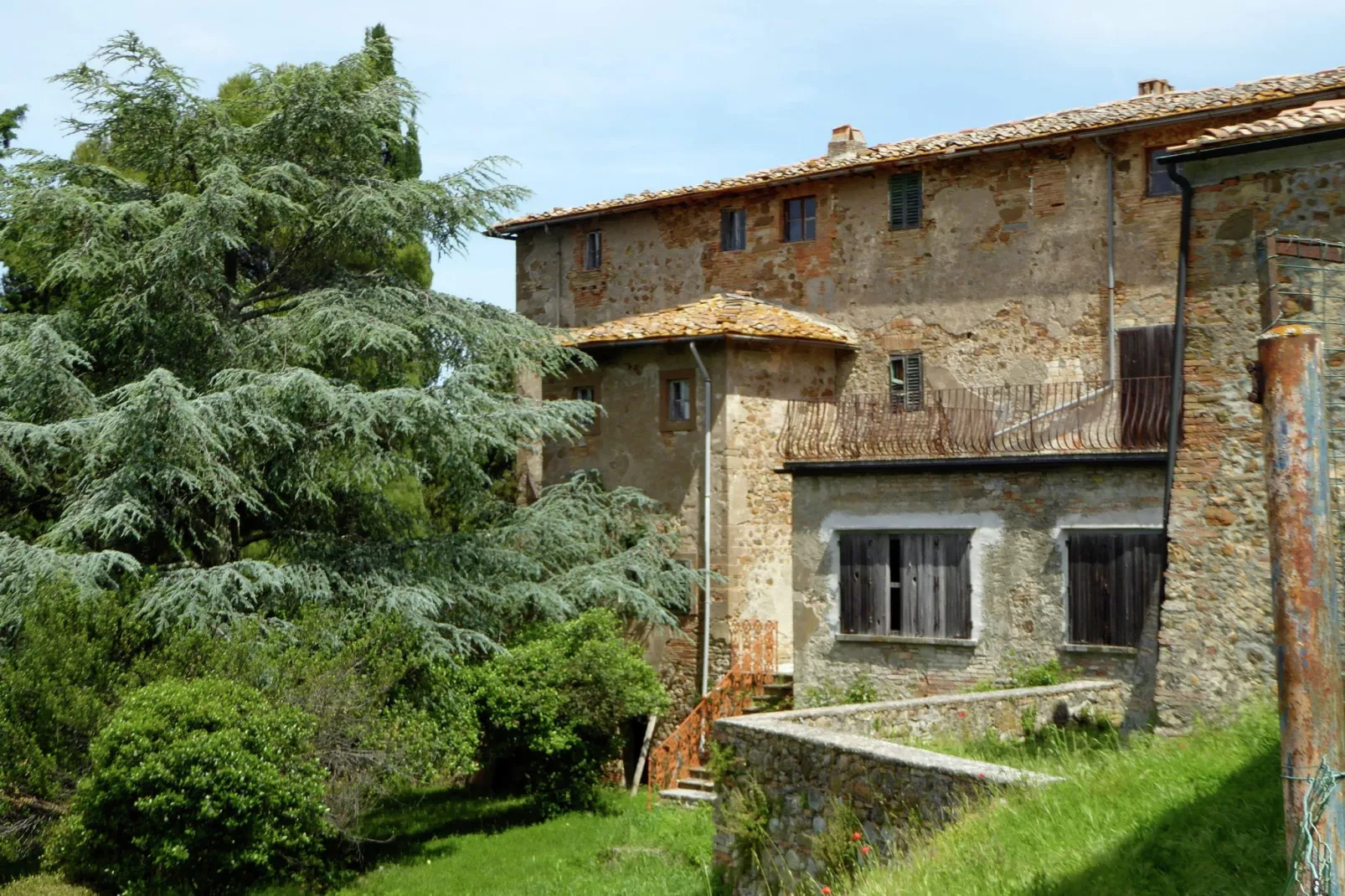 Cardellino-Exterior summer