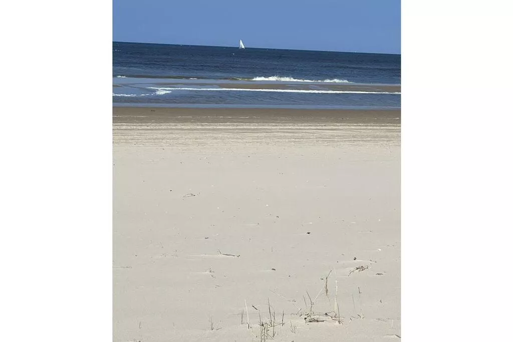 395671-Areas summer 5km