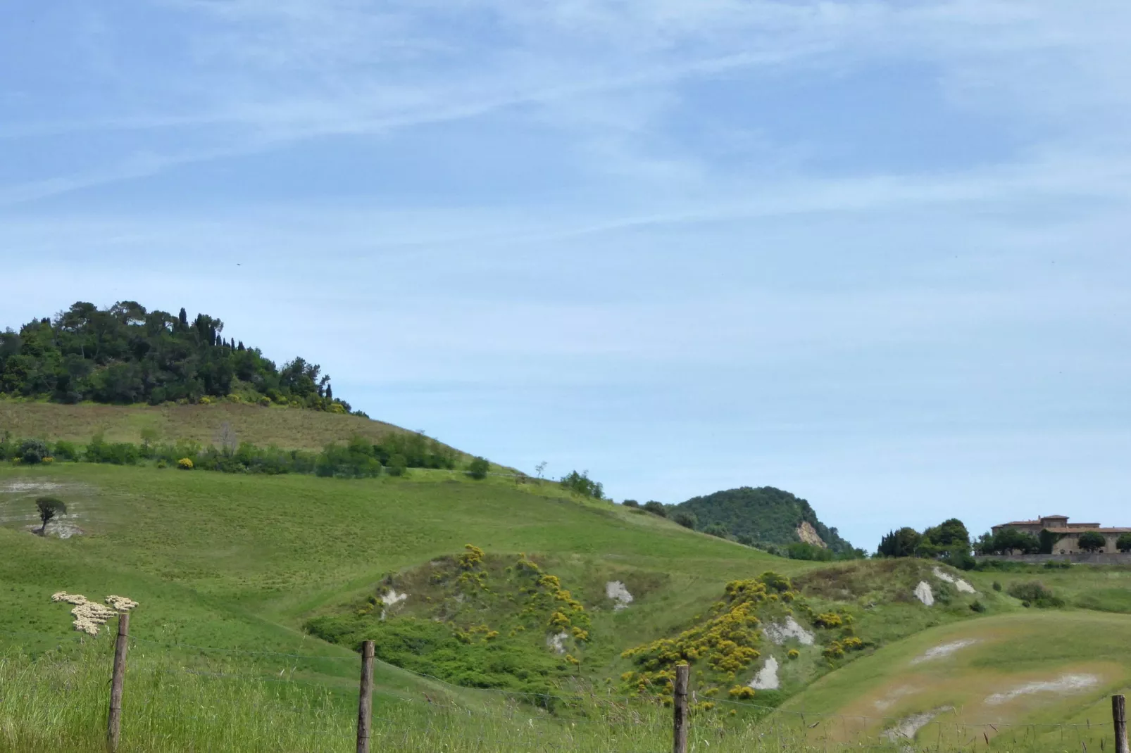 Cardellino-Areas summer 5km