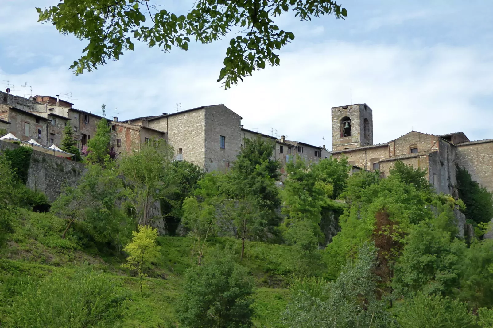 Cardellino-Areas summer 20km