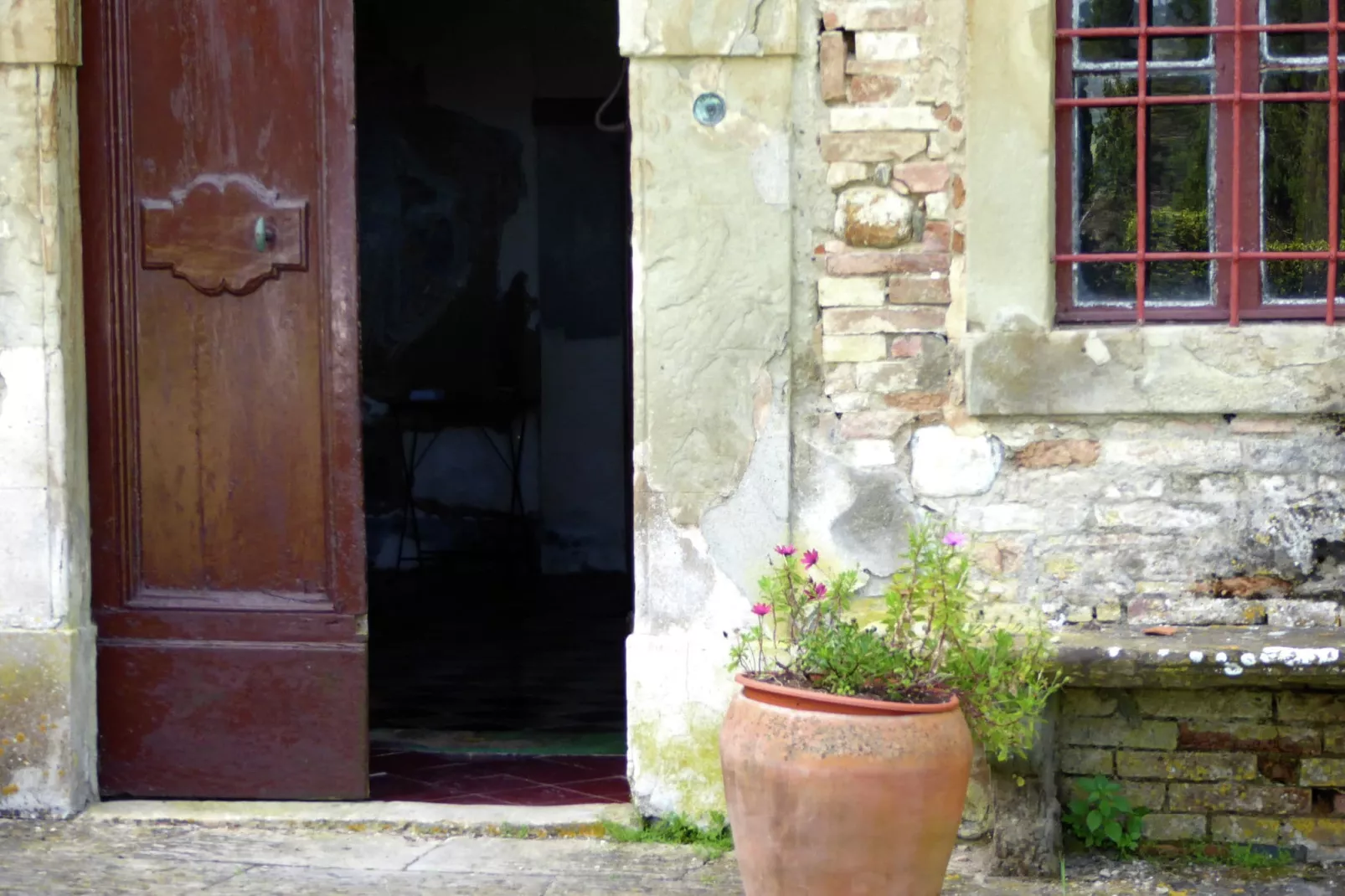 Cardellino-Atmosphere