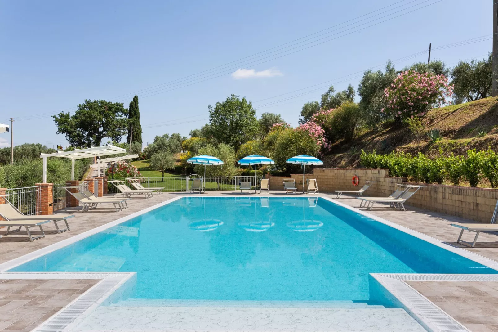 Ulivo-Piscine