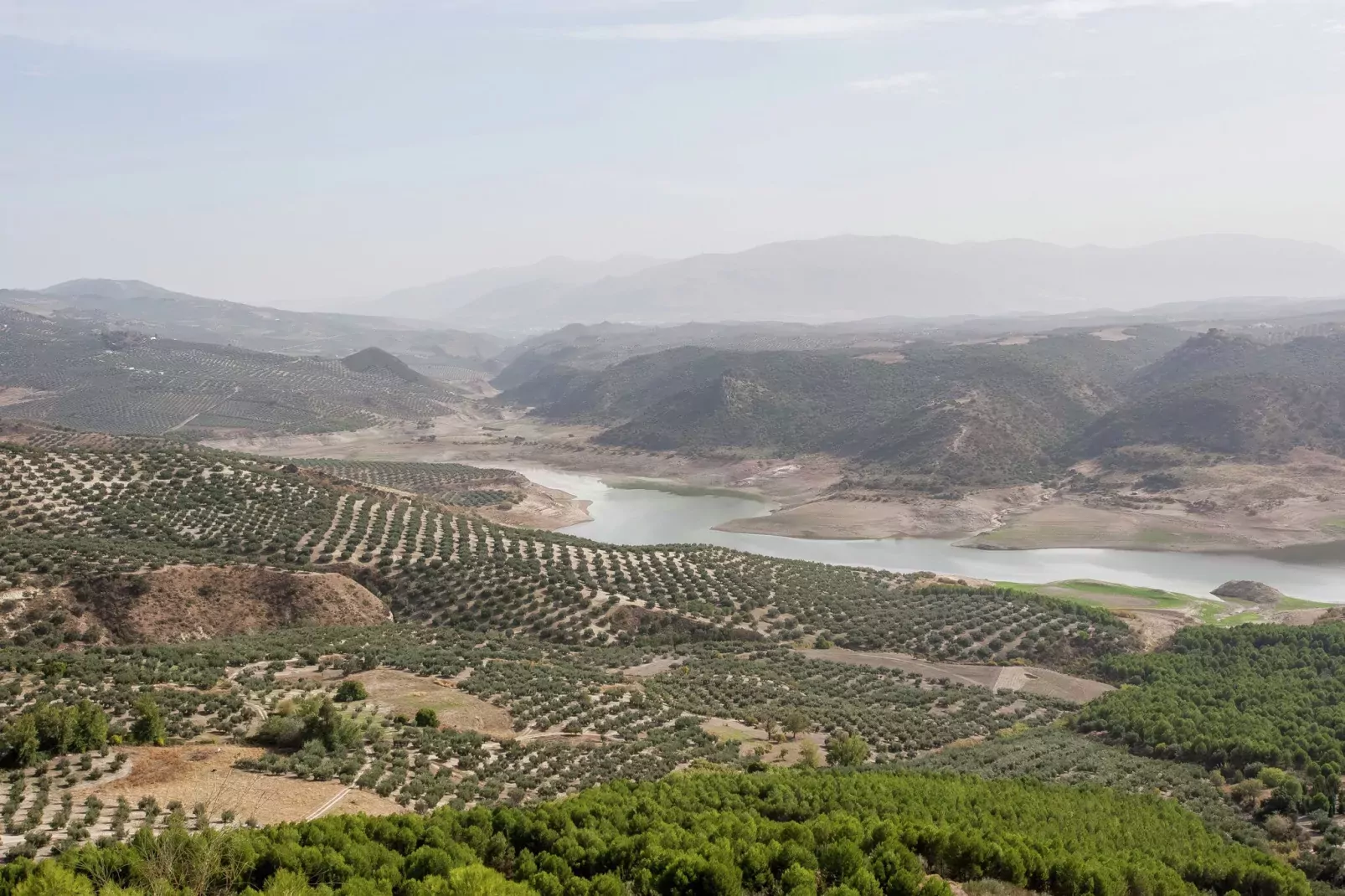 El Molino-Areas summer 5km