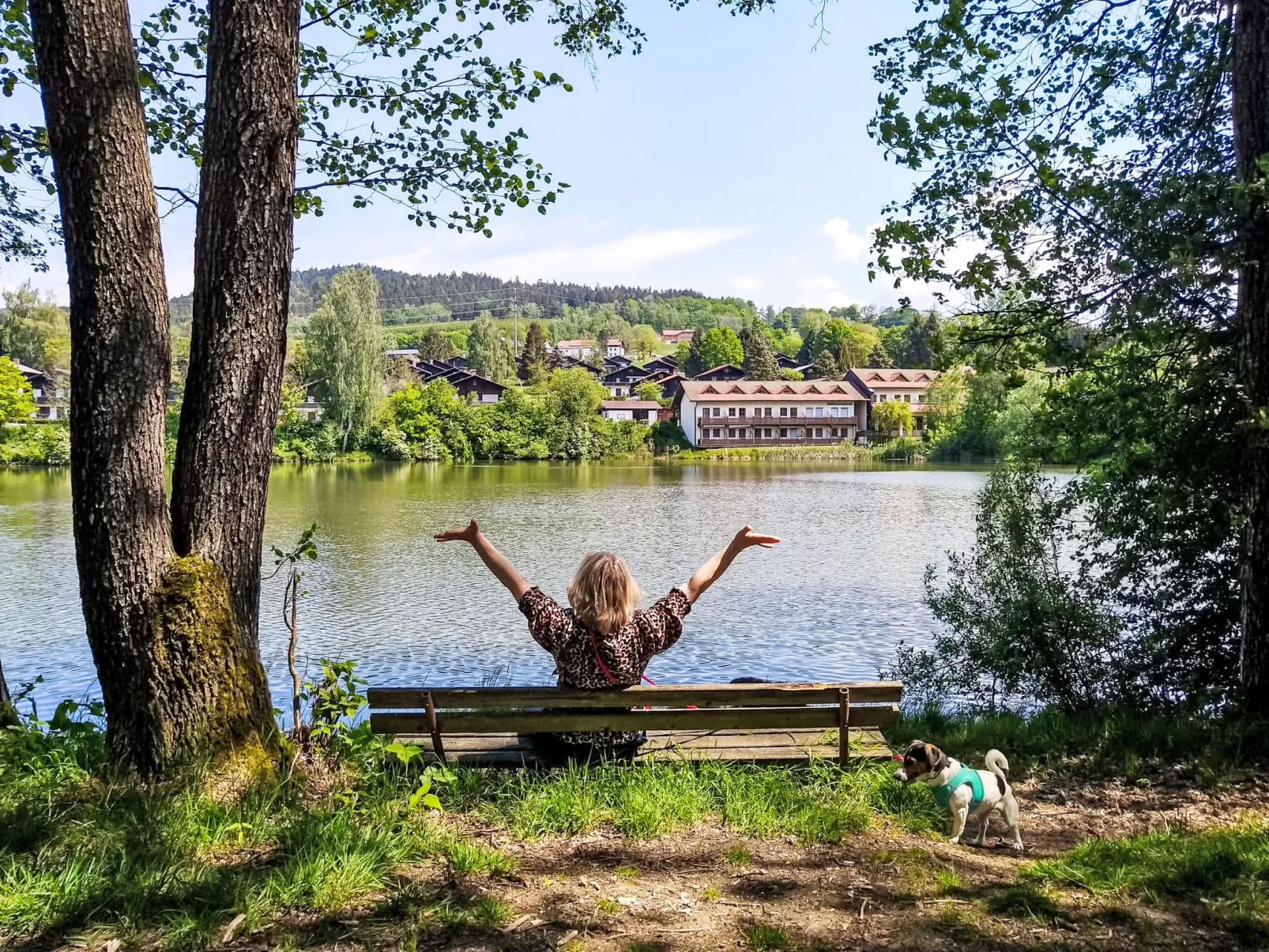 Am Hohen Bogen-Draußen