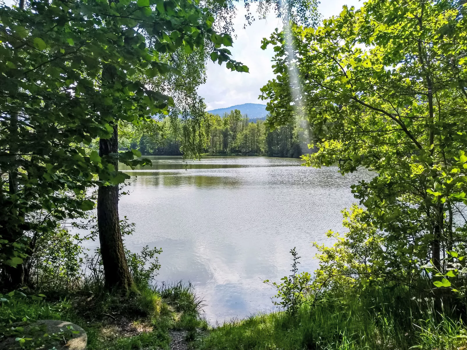 Am Hohen Bogen-Draußen