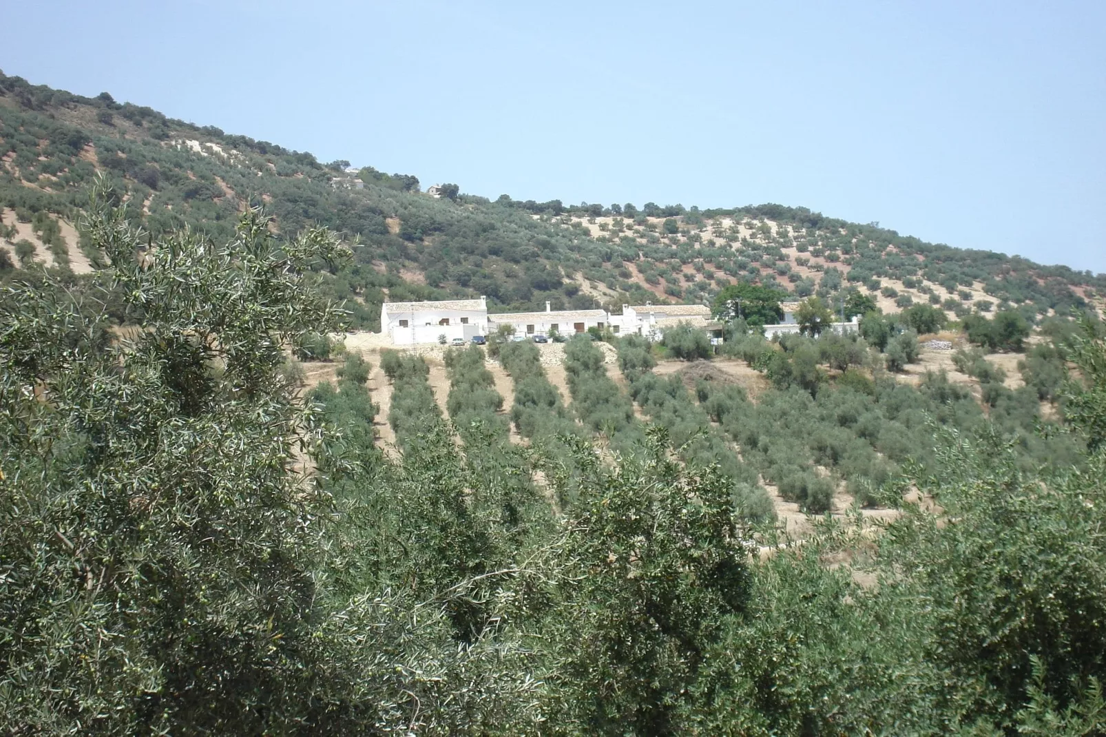 El Molino-Areas summer 5km