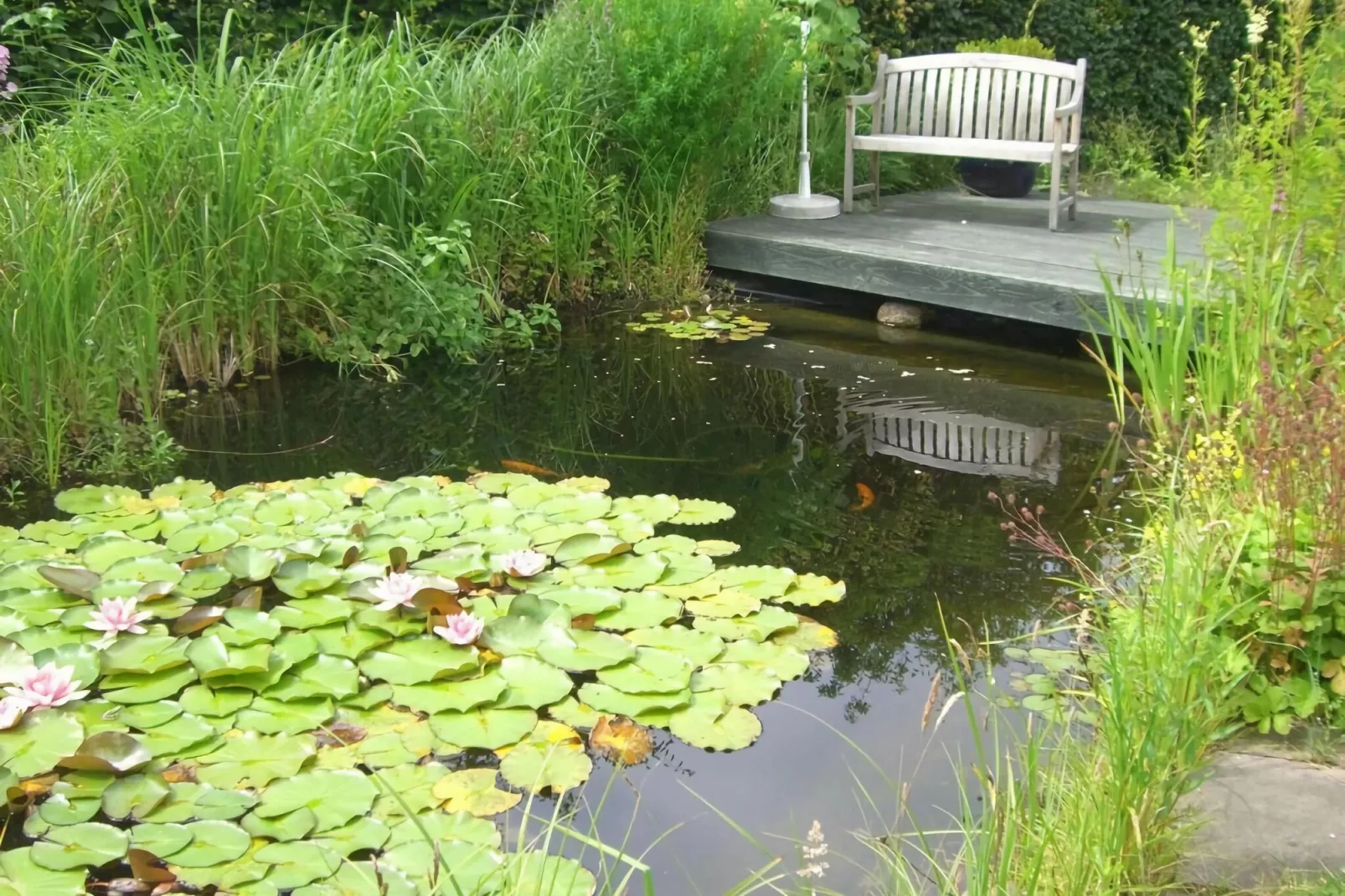 301180-Gardens summer