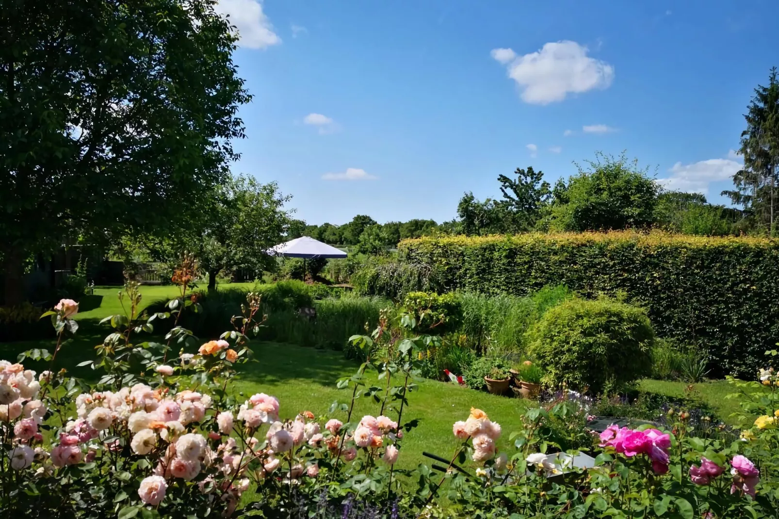 301180-Gardens summer