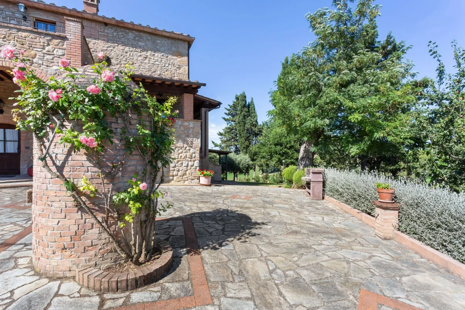 Ciliegio-Exterior summer