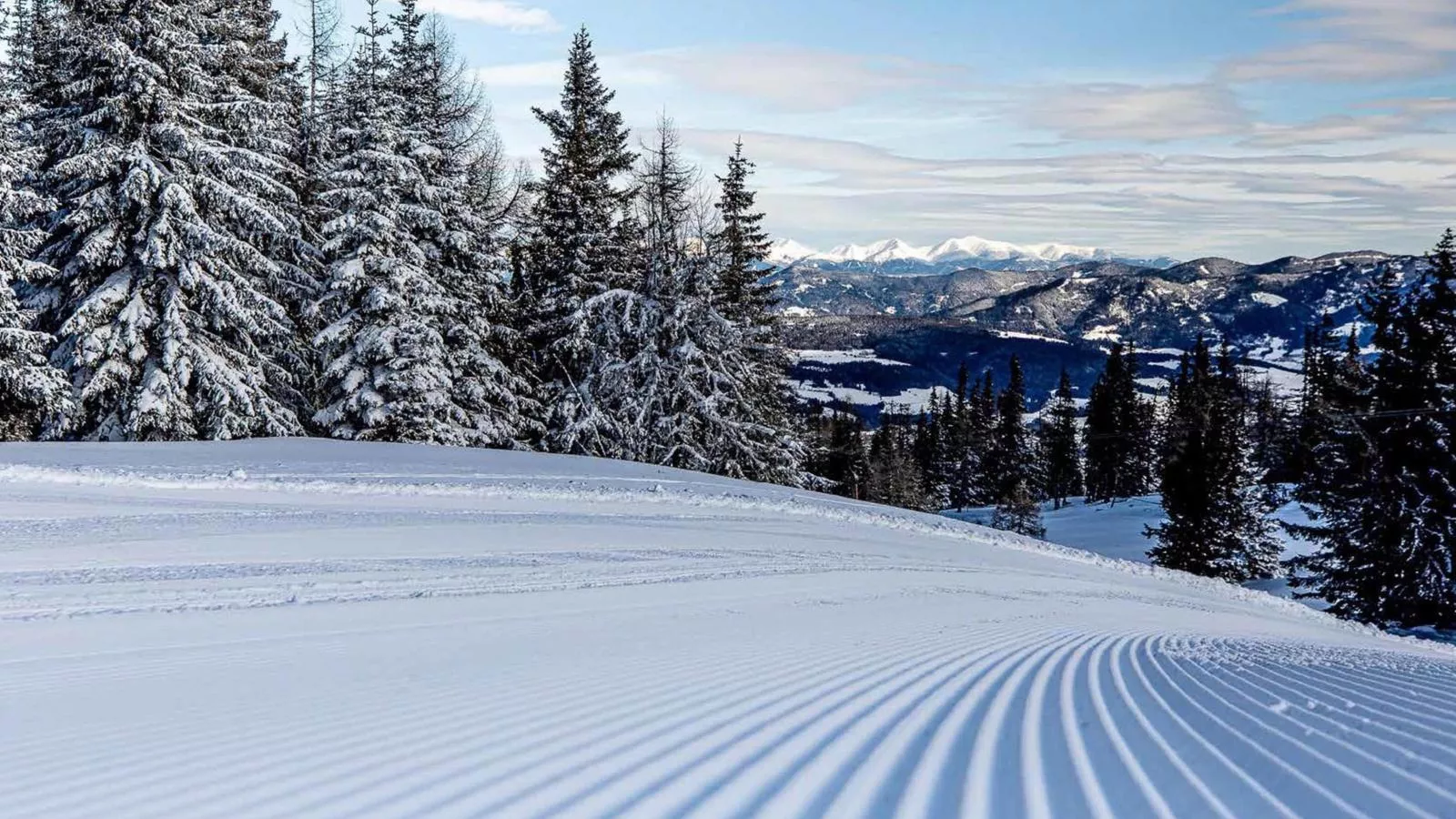Grebenzen Lodge 51A-Area winter 1km