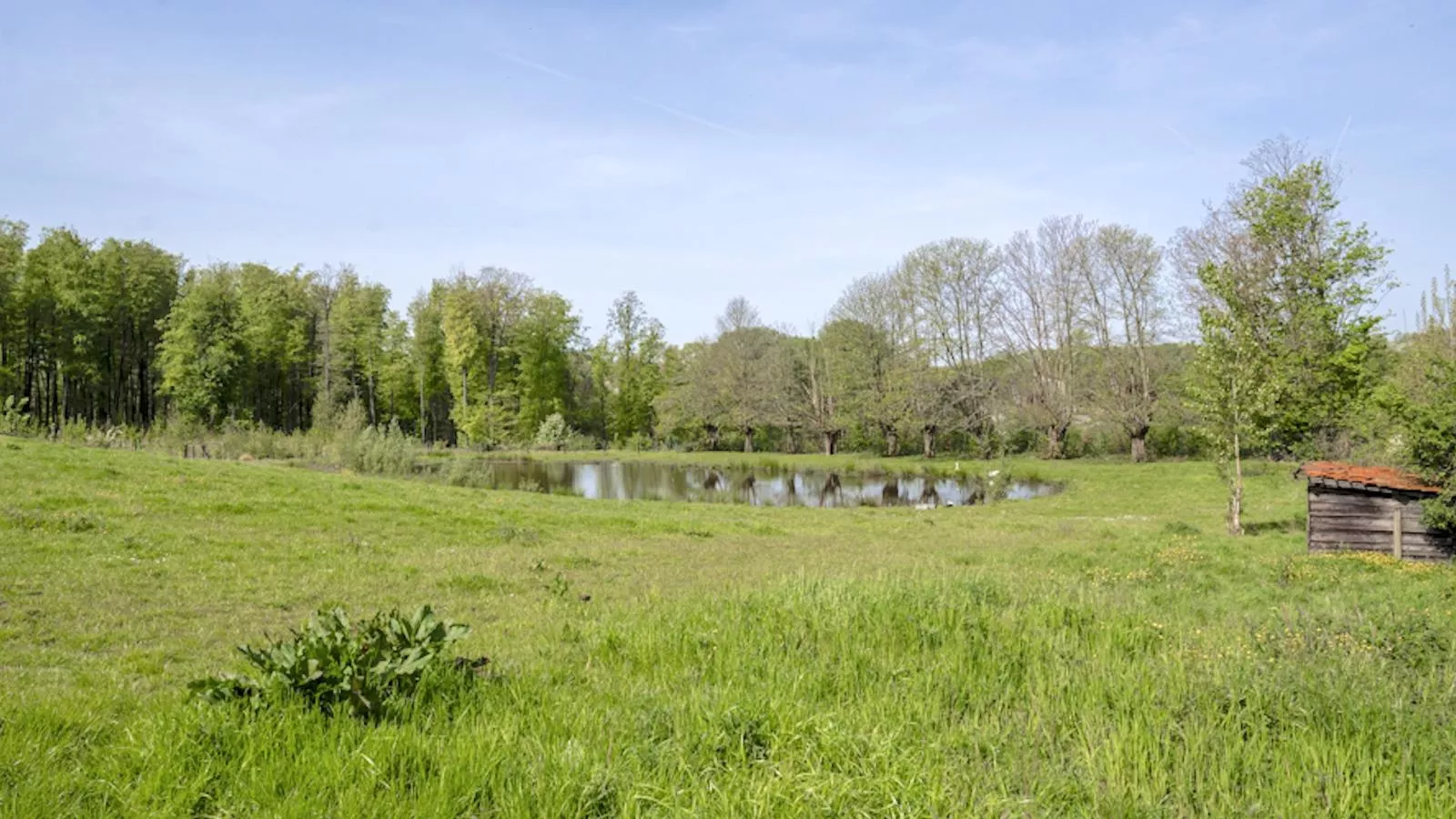 Landhuis Brakelbos-Gärten Sommer