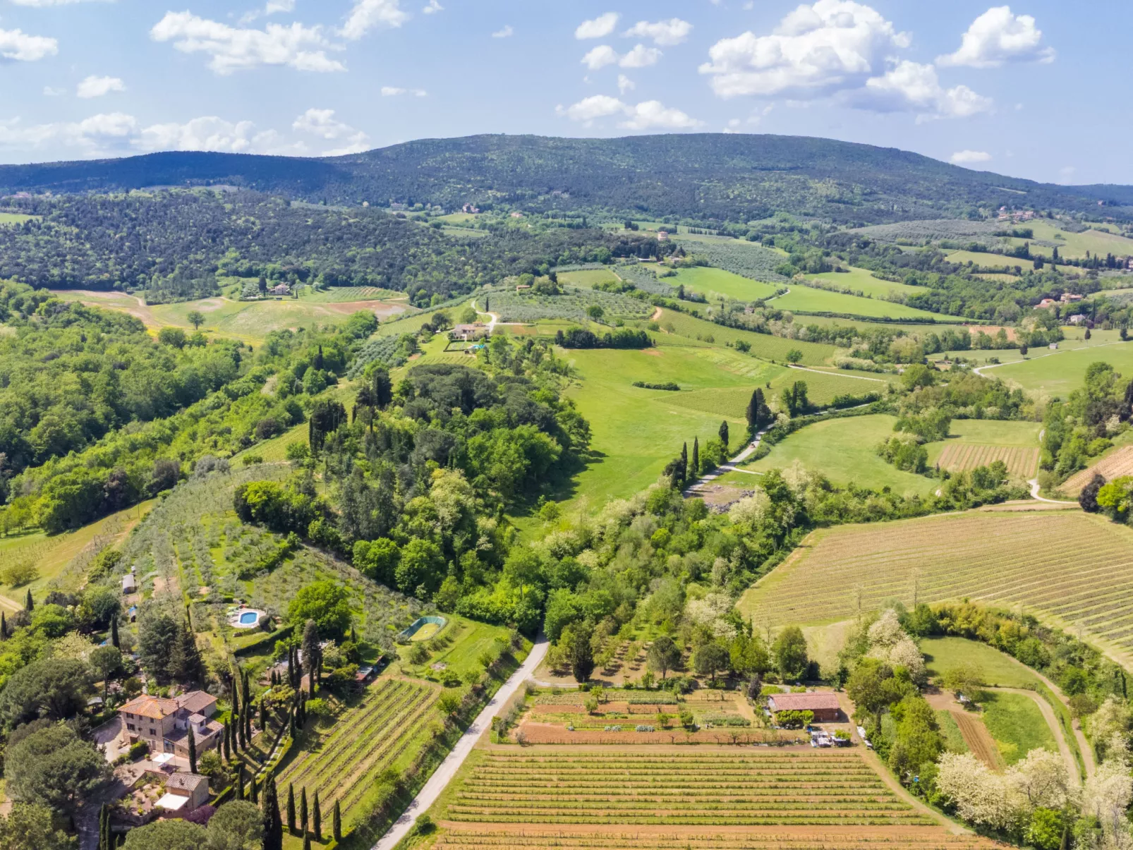 Il Sangiovese-Outside