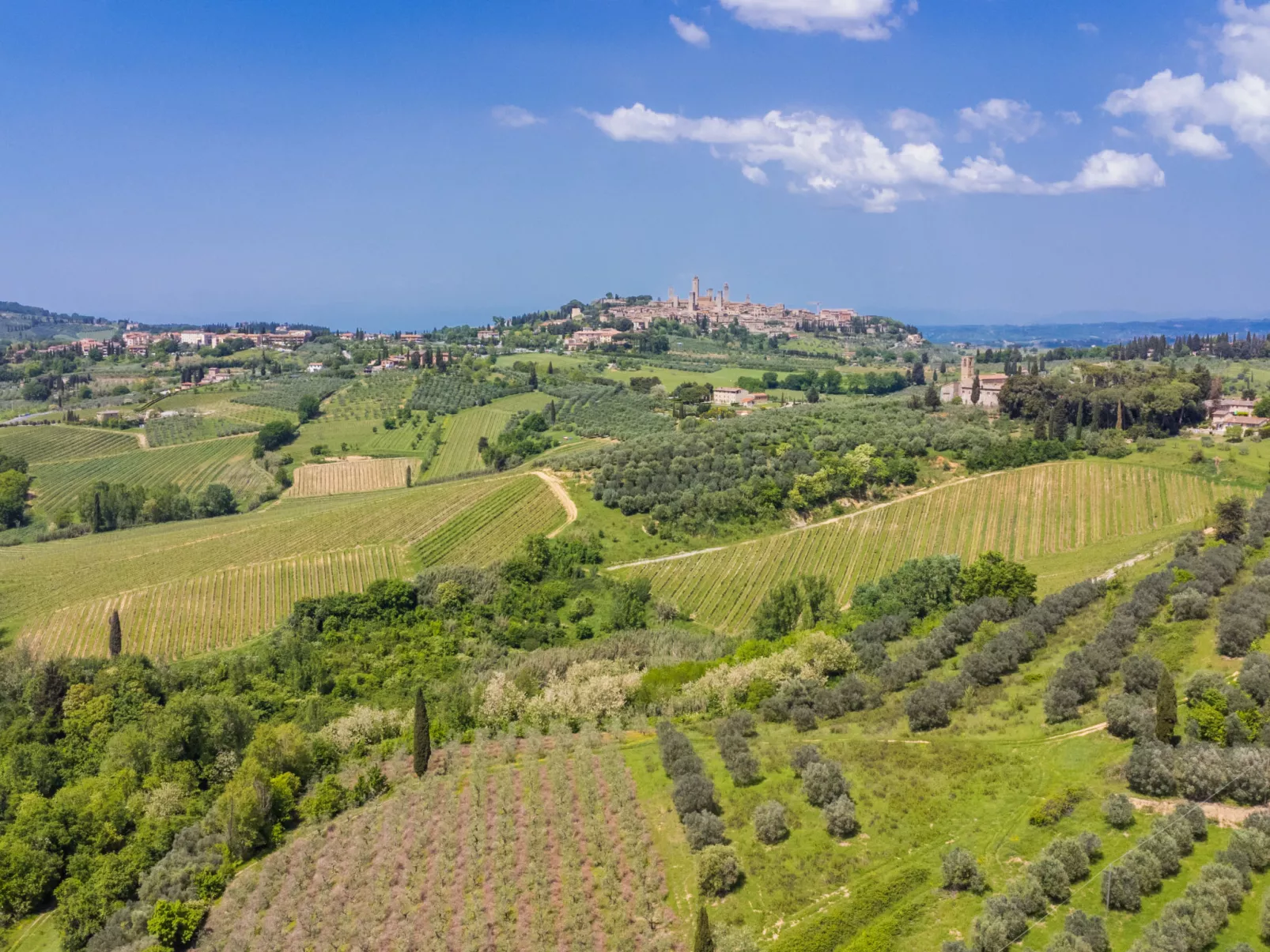Il Sangiovese-Outside