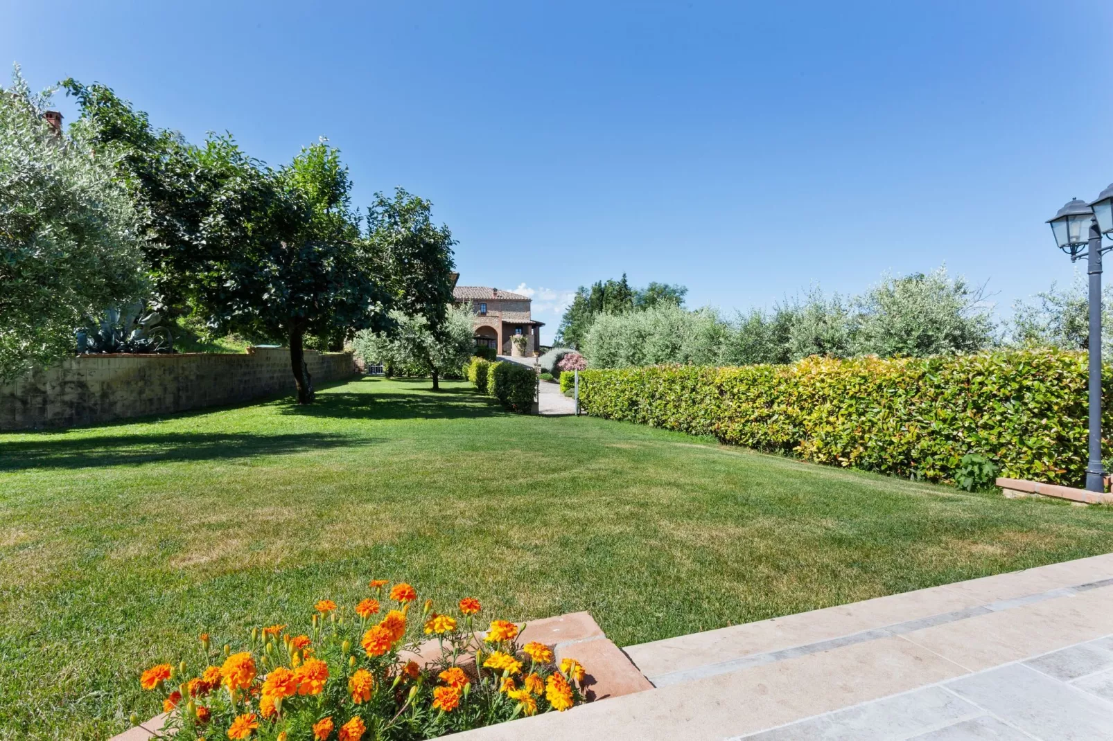 Ciliegio-Gardens summer