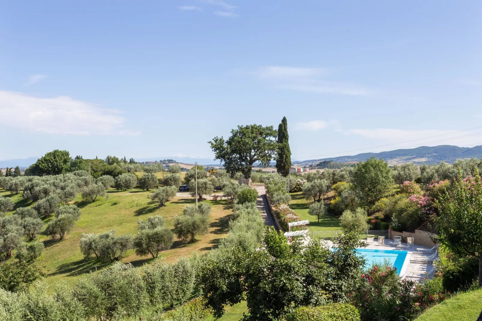Ciliegio-View summer