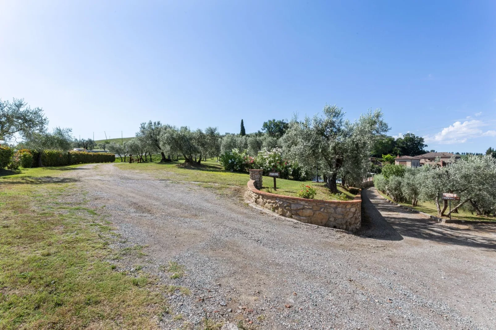 Ciliegio-Areas summer 1km