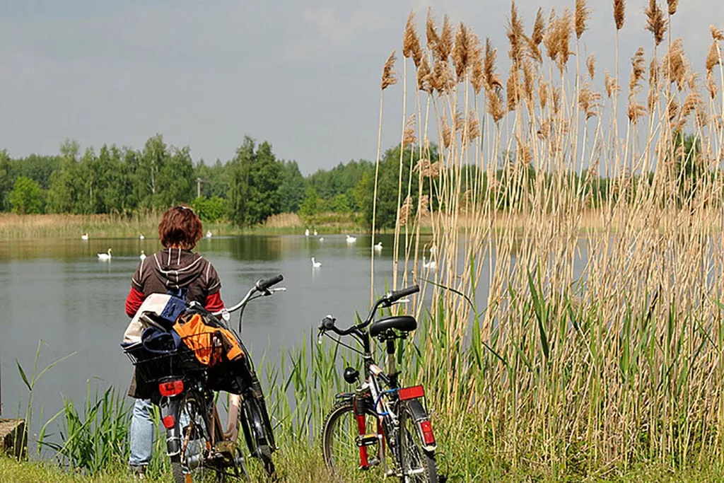 99348-Areas summer 5km