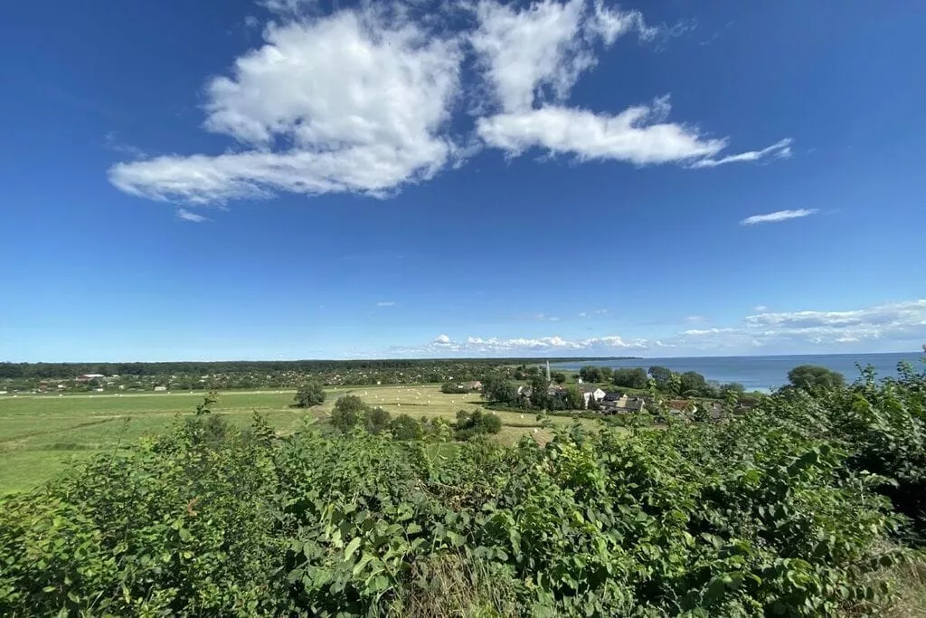 285244-View summer