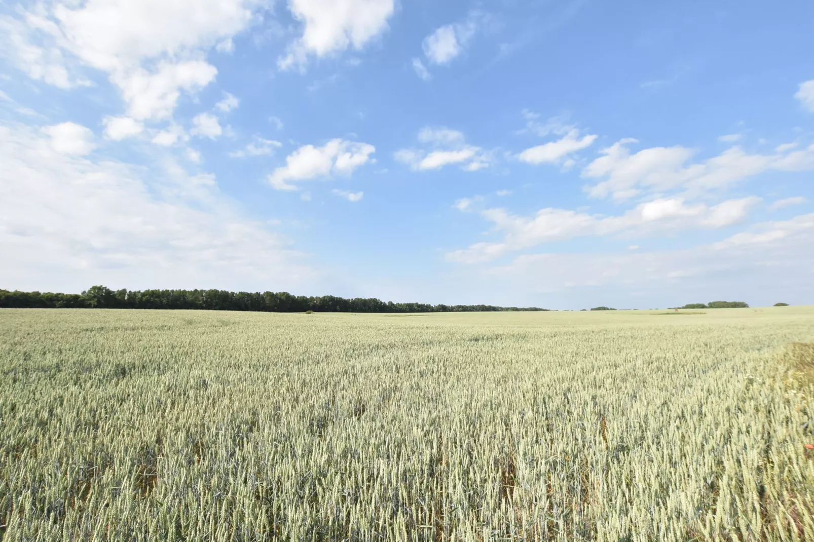 Landhausetage mit Garten-Areas summer 5km